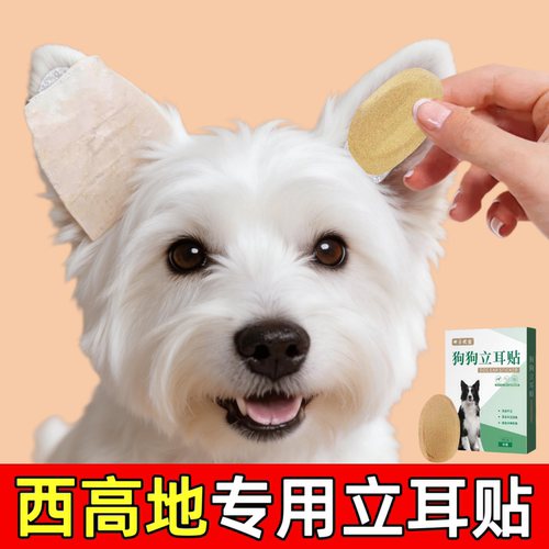 【西高地立耳贴】80%用户购买