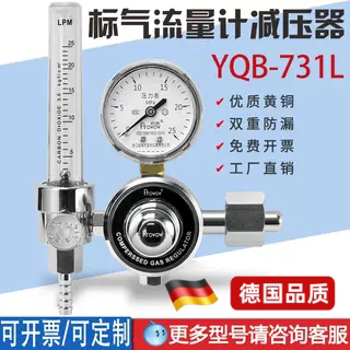 标准气体流量计减压阀压力表YQB-731L实验室尾气检测精密仪表图片