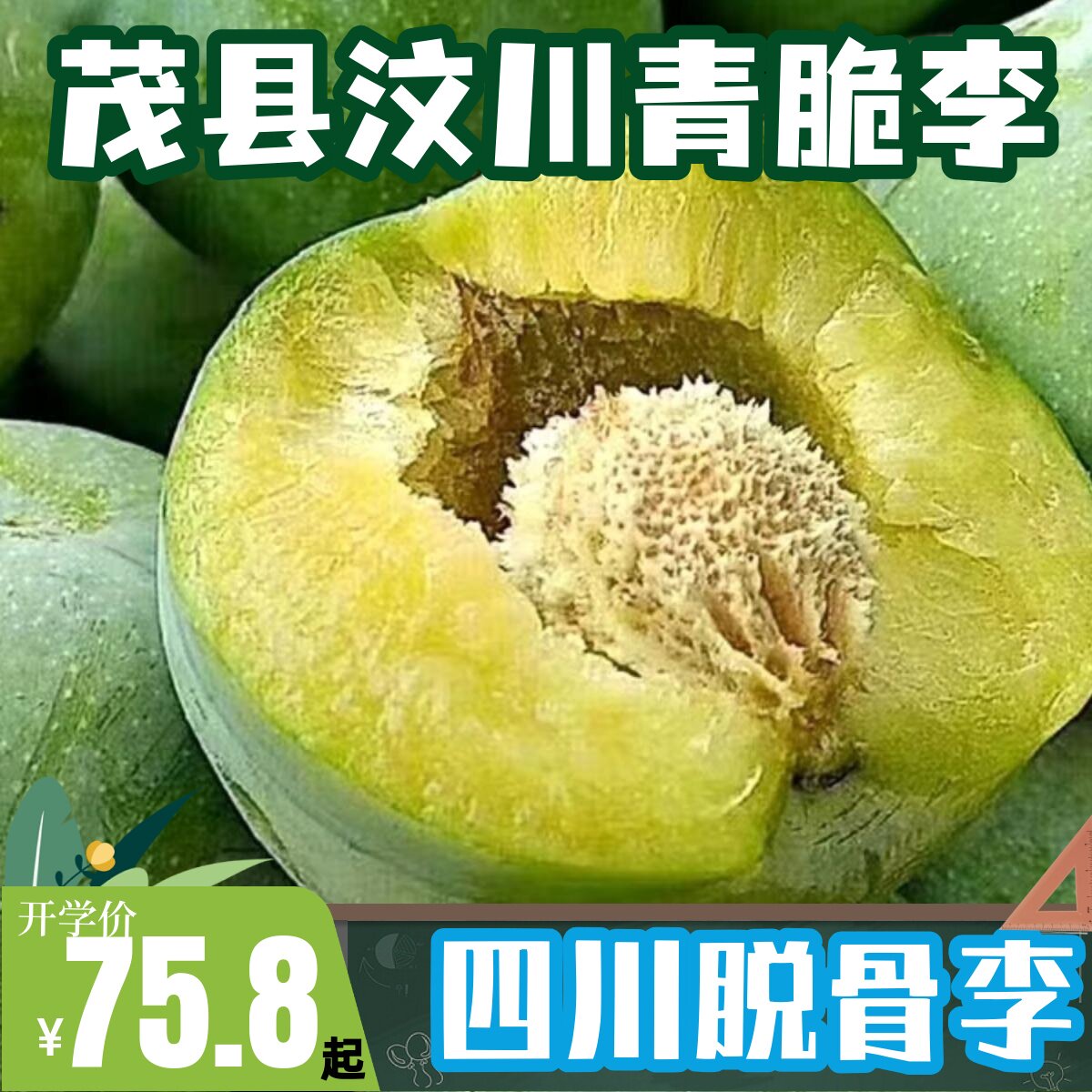四川茂县汶川青脆李脱骨李空心土李子新鲜孕妇水果脆甜现摘中通