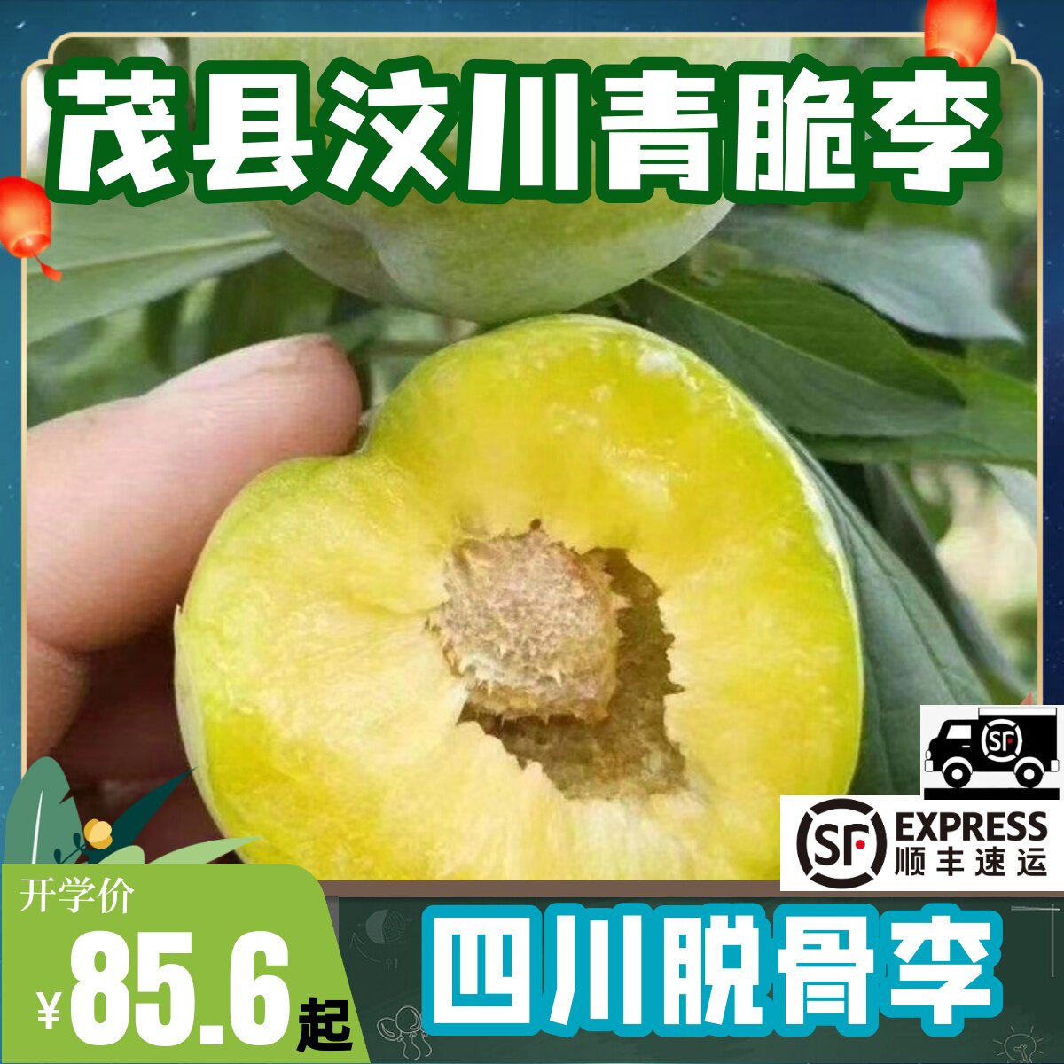 顺丰速运四川茂县汶川青脆李脱骨空心土李子新鲜孕妇水果脆甜多汁