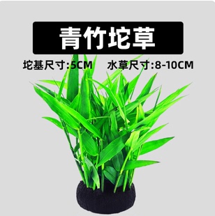 鱼缸水草植物青竹大坨草增氧阴性增氧淡水新手懒人造景水培坨草