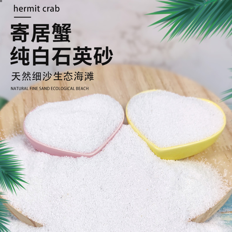 寄居蟹饲养垫材底沙白沙