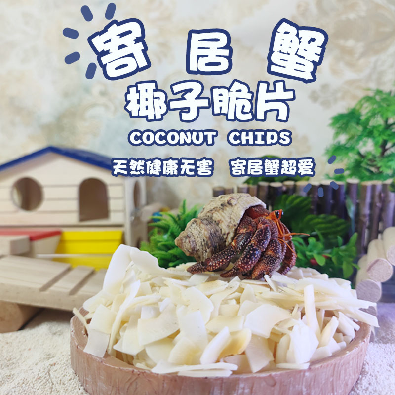 寄居蟹沙蟹食物粮无糖纯天然椰子片爬宠专用饲料补钙鱼干虾干蟹粮