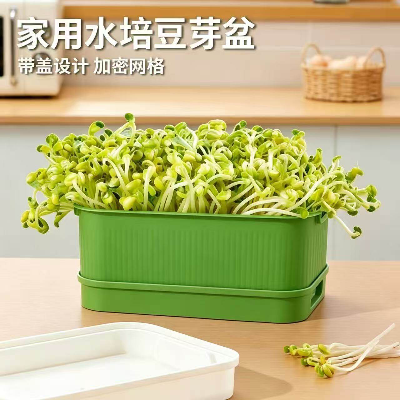 新款发豆芽机家用快速发豆芽种植发芽盆豆芽机种菜专用发豆芽神器