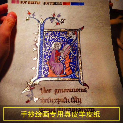 羊皮纸书写绘画中世纪手抄本空白