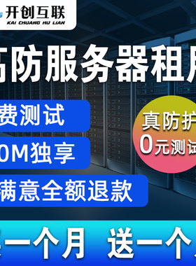 国内高防物理机服务器出租用BGP幻兽帕鲁传奇微端秒解网站页游戏