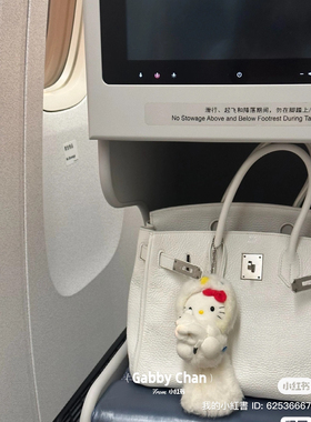 九尾狐猫头鹰宝宝 大尾巴挂件 高质量版 可爱毛绒公仔玩偶