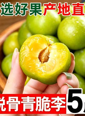 正宗四川脱骨青脆李子土李子新鲜水果当季茵红李蜂糖汶川整箱