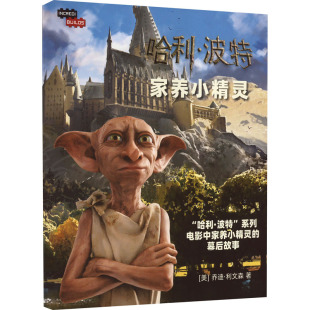 涂色书少儿 图书籍 乔迪·利文森 译 少儿艺术 人文之宝 美 著 新华书店正版 哈利·波特 手工贴纸书 多比立体拼图