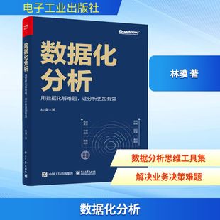 林骥 著 电子工业出版 用数据化解难题 社 图书籍 让分析更加有效 新华书店正版 数据化分析 数据库专业科技
