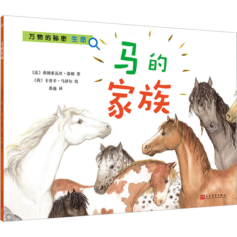 新华书店正版 绘本