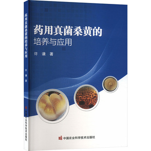 著 农业基础科学专业科技 新华书店正版 药用真菌桑黄 中国农业科学技术出版 许谦 图书籍 社 培养与应用
