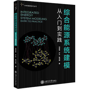 综合能源系统建模 从入门到实践 刘学智,严正,张沛超 著 计算机控制仿真与人工智能专业科技 新华书店正版图书籍