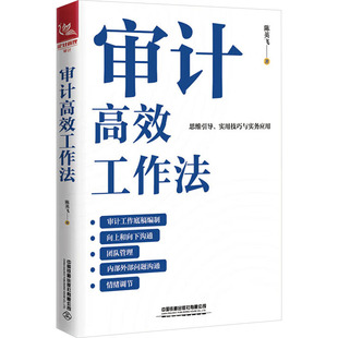 审计高效工作法 陈英飞 著 统计 审计经管、励志 新华书店正版图书籍 中国铁道出版社有限公司