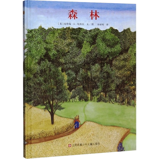 森林 (美)克劳瑞·尼沃拉 著 余丽琼 译 绘画（新）少儿 新华书店正版图书籍 江苏少年儿童出版社