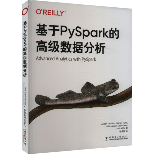 译 高级数据分析 著 基于PySpark 数据库专业科技 中国电力出版 阿卡什·坦登 图书籍 印 社 等 新华书店正版 张紫熙
