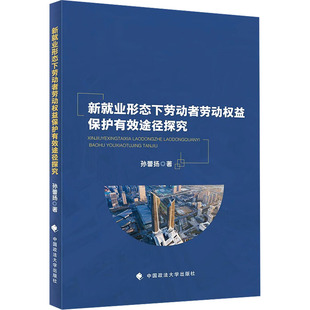 法学理论社科 著 新华书店正版 图书籍 社 新就业形态下劳动者劳动权益保护有效途径探究 中国政法大学出版 孙蕾扬