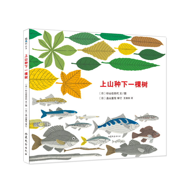 新华书店正版 绘本