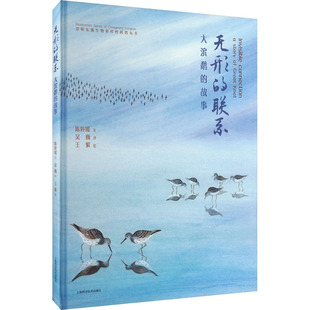 陈婷媛 译 联系 故事 图书籍 社 无形 新华书店正版 著 大滨鹬 绘 王紫 吴巍 上海科学技术出版 鸟类生活