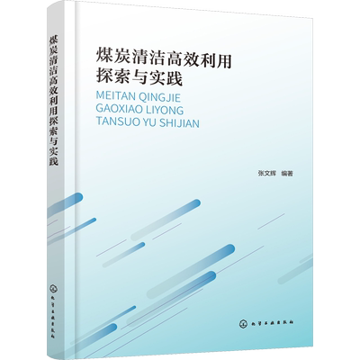 煤炭清洁高效利用探索与实践 张文辉 编 化学工业专业科技 新华书店正版图书籍 化学工业出版社