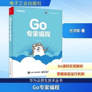 程序设计 新 电子工业出版 任洪彩 社 图书籍 著 新华书店正版 Go专家编程 专业科技