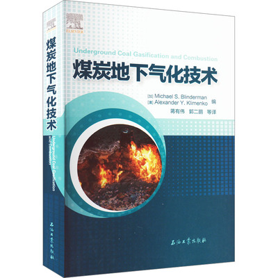 煤炭地下气化技术 (加)迈克尔·S.布兰德曼,(澳)亚历山大·Y.克里门科 编 蒋有伟 等 译 矿业技术专业科技 新华书店正版图书籍