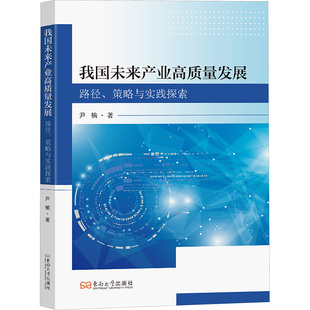 励志 社 策略与实践探索 东南大学出版 图书籍 新华书店正版 各部门经济经管 著 尹楠 路径 我国未来产业高质量发展