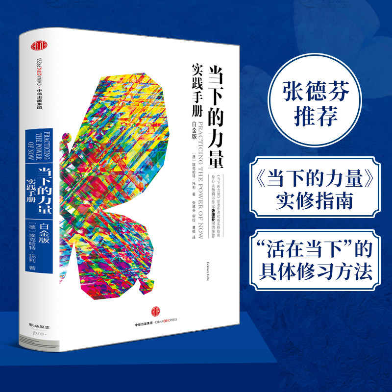 当下的力量实践手册(白金版) 埃克哈特·托利 著 心理学社科 新华