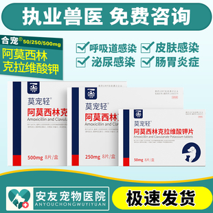 莫宠轻阿莫西林犬猫咪狗宠物感冒药猫鼻支咳嗽皮肤泌尿消炎药