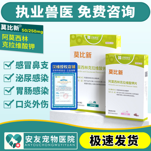 汉维莫比新阿莫西林克拉维酸钾片宠物猫狗感冒消炎药50/250/500mg