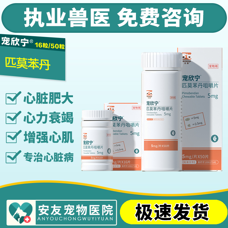 宠欣宁猫狗心脏病心脏肥大衰竭