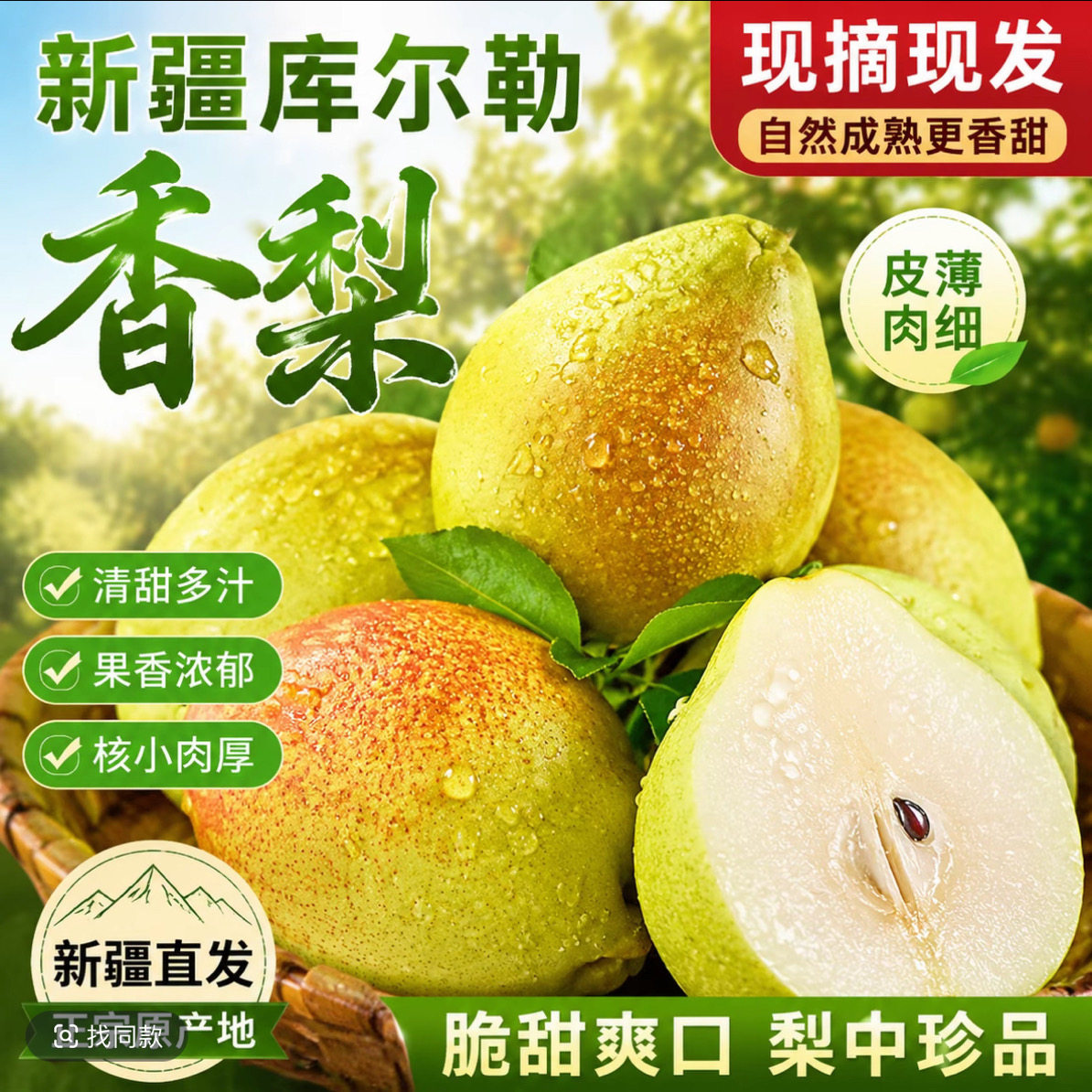 正宗新疆库尔勒香梨新鲜大果包邮