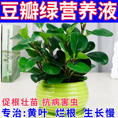 治豆瓣绿黄叶打蔫倒伏枯萎烂根