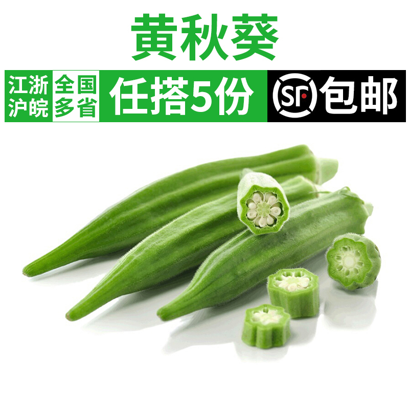 新鲜黄秋葵六角豆农家蔬菜