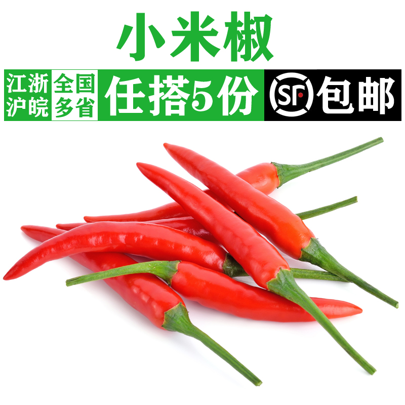 小米辣椒250g 新鲜蔬菜红辣椒特辣四川朝天椒小线椒 满5件包邮