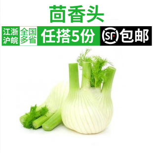 茴香头500g 新鲜蔬菜球茎茴香西餐香料沙拉食材凉拌蔬菜 5件包邮