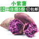 小紫薯500g 新鲜现挖迷你小紫薯地瓜紫芋头山芋宝宝辅食农家蔬菜