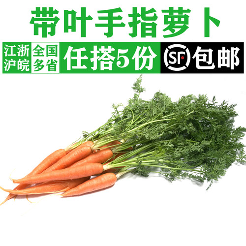 手指胡萝卜西餐沙拉新鲜蔬菜