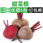 包邮 新鲜甜根菜500g 5件 新鲜蔬菜西餐榨汁食材 甜菜头紫红菜头