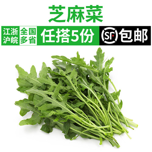 新鲜芝麻菜西餐沙拉蔬菜