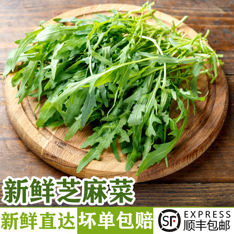 新鲜芝麻菜 火箭菜 西餐蔬菜沙拉食材健身轻食蔬菜生吃色拉生菜