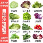 新鲜沙拉蔬菜混合蔬菜西餐色拉生菜组合健身轻食生吃沙拉菜食材