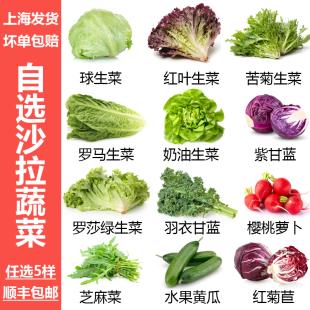 新鲜沙拉蔬菜混合蔬菜西餐色拉生菜组合健身轻食生吃沙拉菜食材
