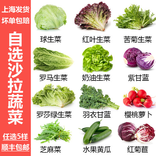 新鲜混合蔬菜沙拉食材