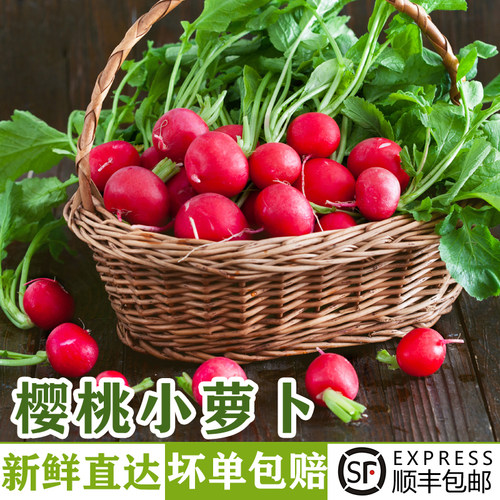 新鲜樱桃小萝卜凉拌腌制沙拉蔬菜