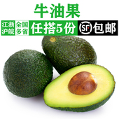 新鲜牛油果1个 新鲜水果健康轻食宝宝辅食 当季 单果130 170g