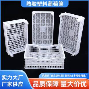 Wholesale Rectangular Grape Basket Plastic Tall Grape