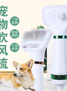 Hair pulling plastic pet hair dryer blowing modeling