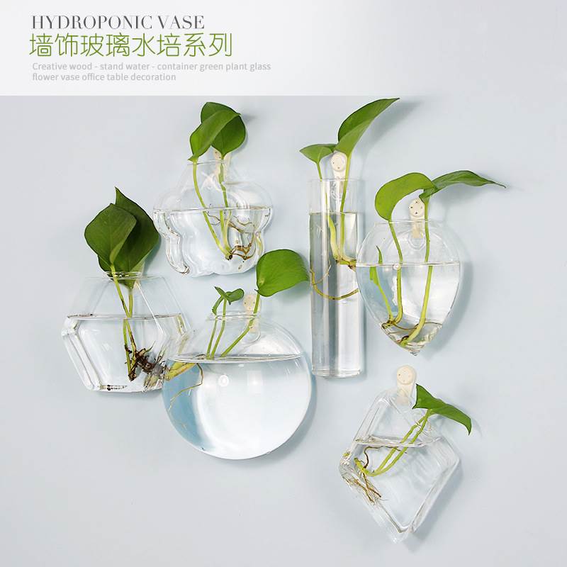 Hydroponic Vase Wall-mounted Wall Flower Arrangement Glass