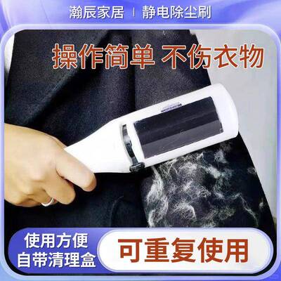 Electrostatic dry cleaner brush pet hair brush White